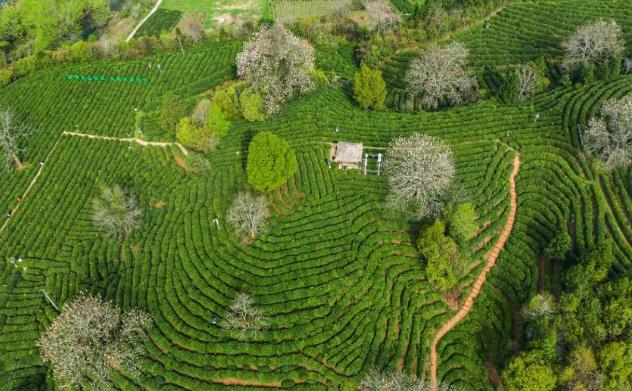 微信截圖_20230110172722