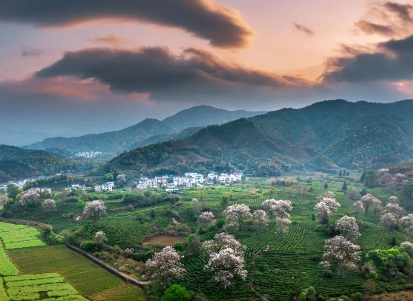 微信截圖_20230511170939